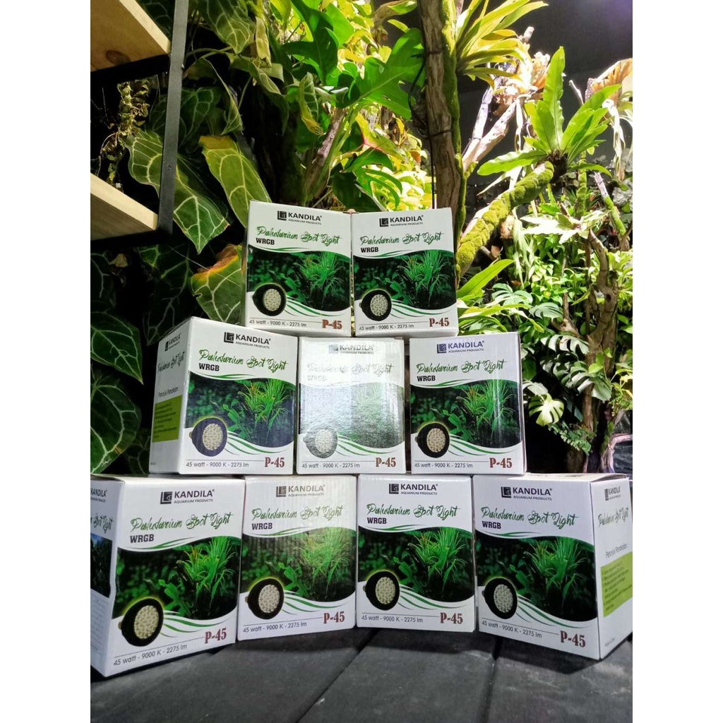 Kandila Paludarium Spot Light P-45 45W