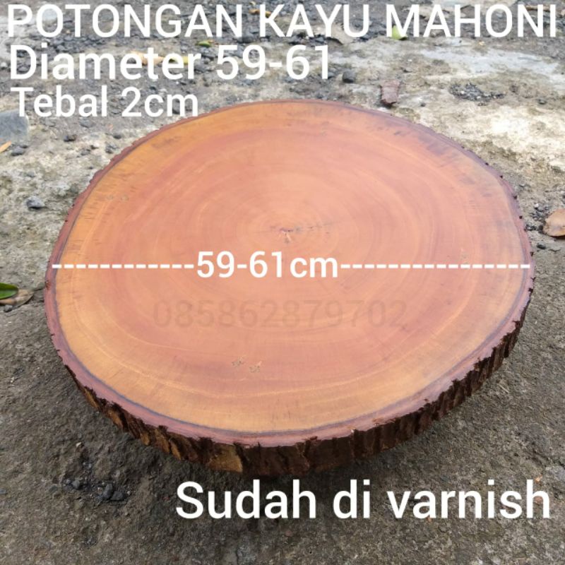 Potongan kayu mahoni besar