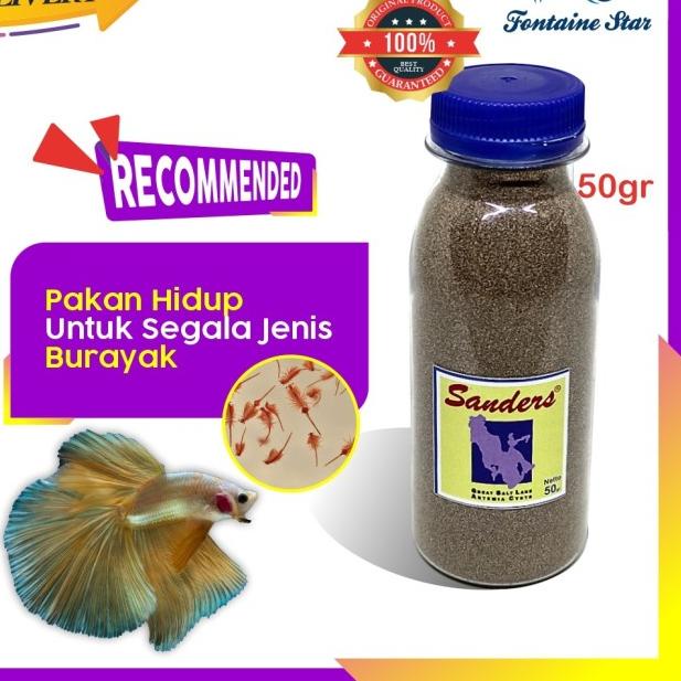Artemia Sanders Biru 50Gram