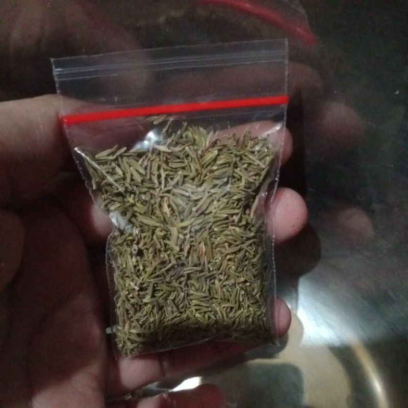 

daun thyme daun Rosemary