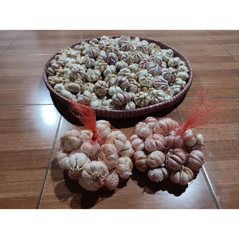 

bawang putih kating bersih