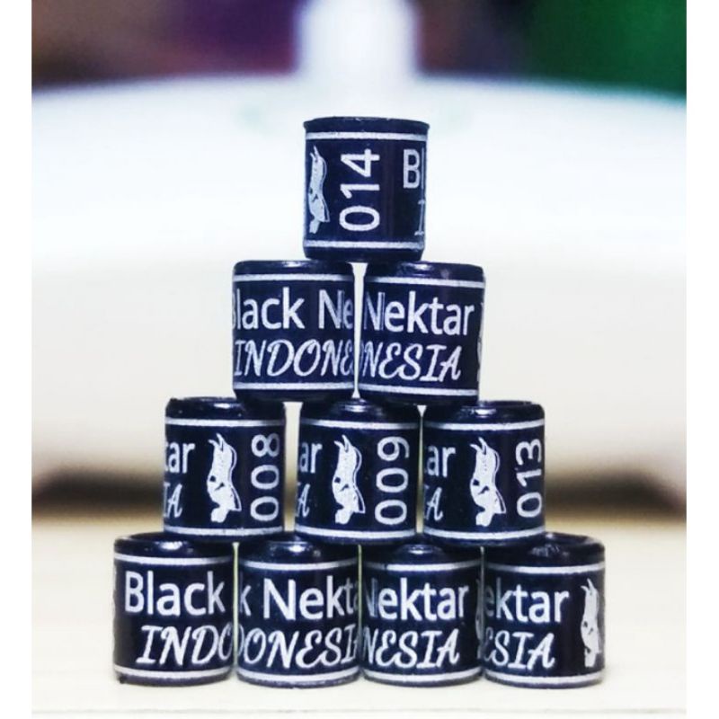 RING BURUNG KONIN NEW EDITION LOGO