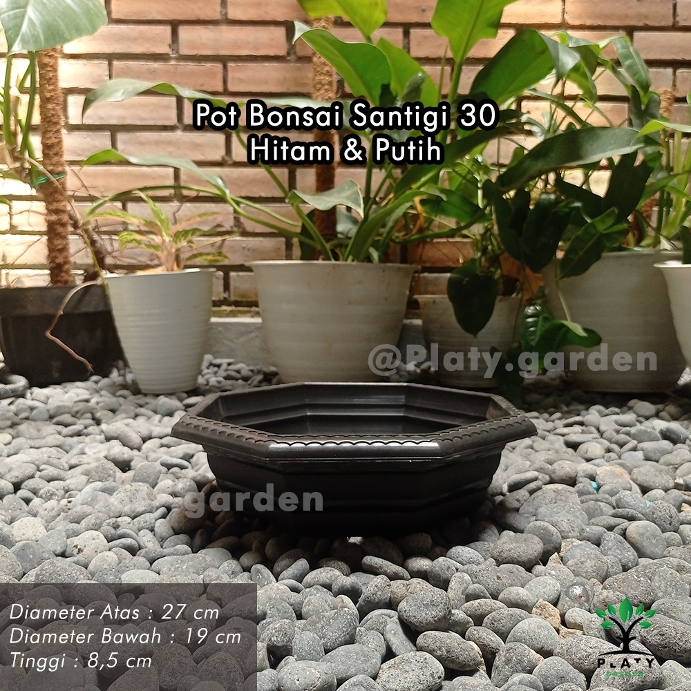 Pot Bonsai Santigi 30 | Pot Tanaman Ceper