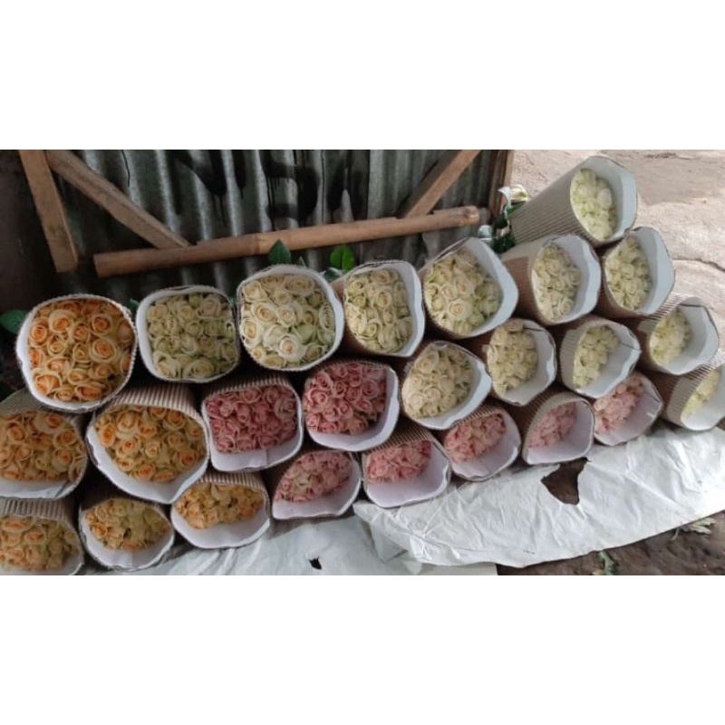 20btg mawar mix warna campur