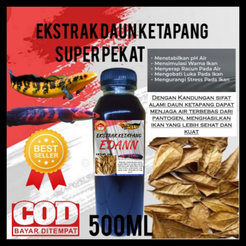 ekstrak ketapang 500ml / ekstrak ketapang super pekat / ekstrak ketapang laut