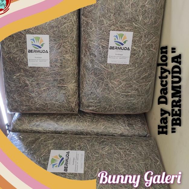 HAY DACTYLON "BERMUDA" kemasan 2 kg