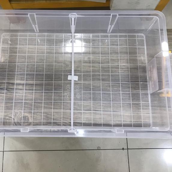 KANDANG KONTAINER SEKAT 4 GECKO SKINK PACMAN FROG SNAKE SULCATA ISTAR