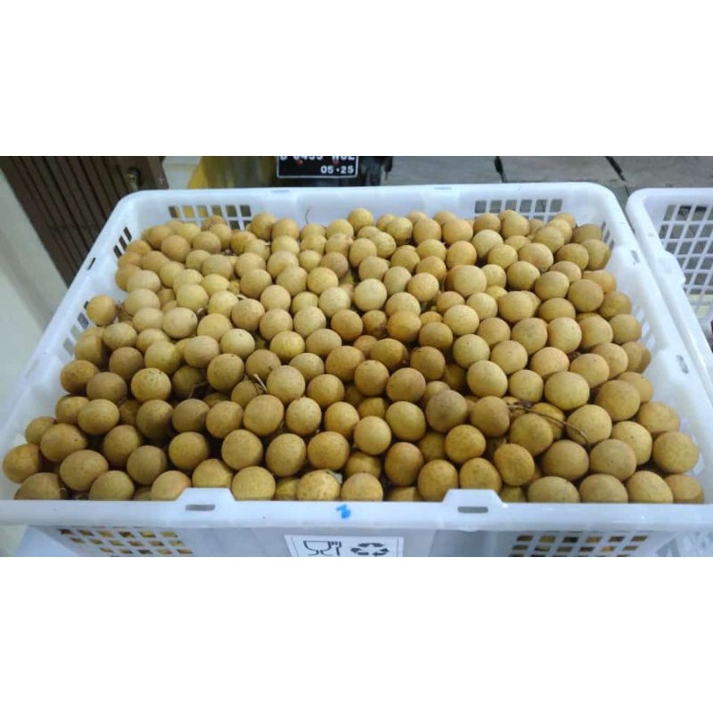 

Kelengkeng Bangkok Gold 1 kg