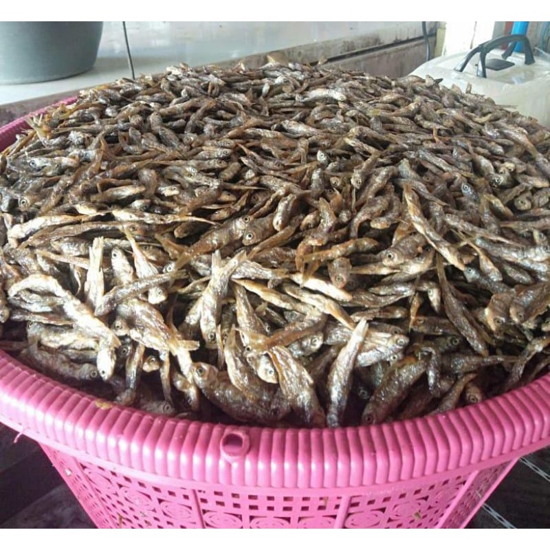 

ikan bilih goreng original