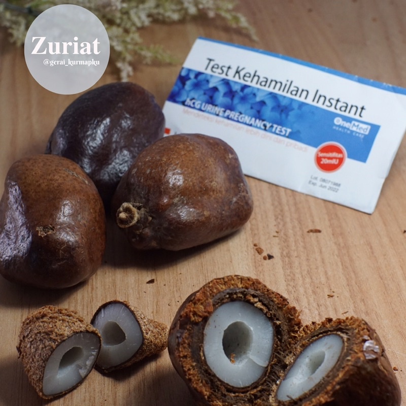 

BUAH ZURIAT MADINAH / BUAH ZURIAT KETURUNAN / BUAH ZURIAT UNTUK PROMIL