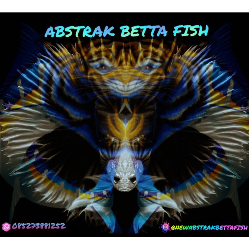 BELI 2 GRATIS 1 UNDER BABY CT LINE GRIZZLE