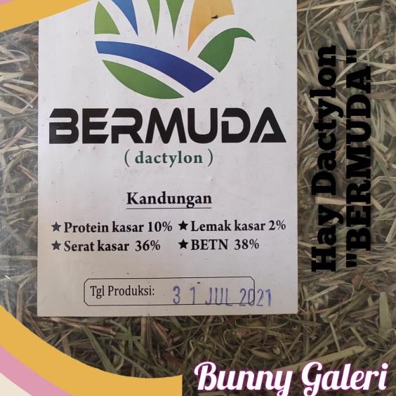 HAY DACTYLON "BERMUDA" kemasan 2 kg