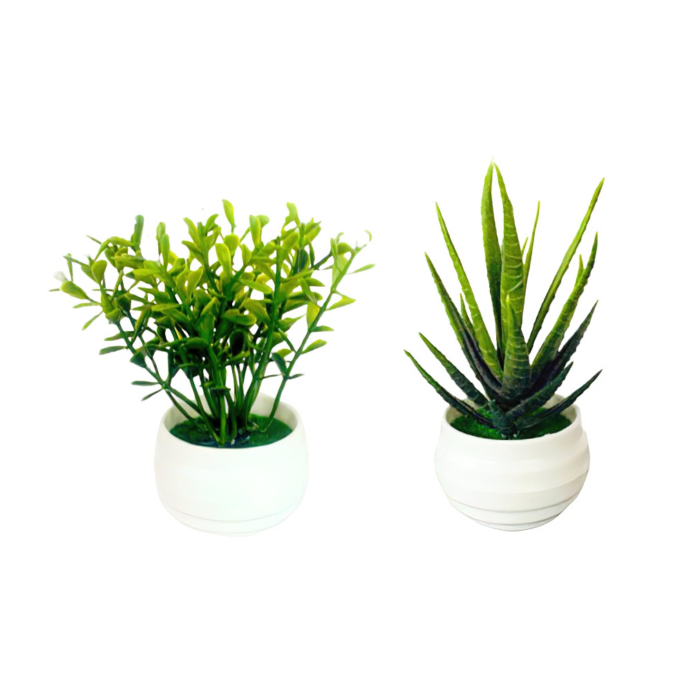 Ornamen Tanaman Bunga Daun Hijau Bonsai Aloe Vera Buatan Bahan Plastik Untuk Dekorasi Kantor