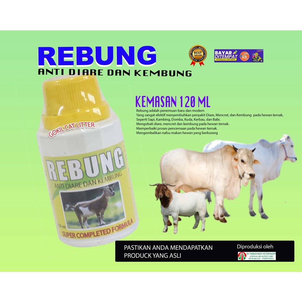 OBAT MENCRET SAPI ,KAMBING, KERBAU, ANTI DIARE DAN KEMBUNG,, REBUNG