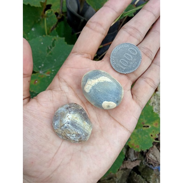 ✅ Batu Akik Sulaiman Daud Ujung Tanjung ( Rough / Bahan Batu Akik - bukan bacan obi kecubung fire op