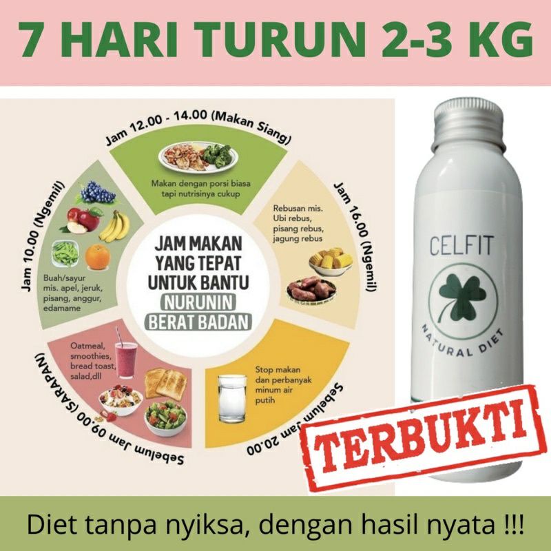 Obat Diet Ampuh , Kapsul Pelangsing Perut 100% Herbal - CELFIT NATURAL