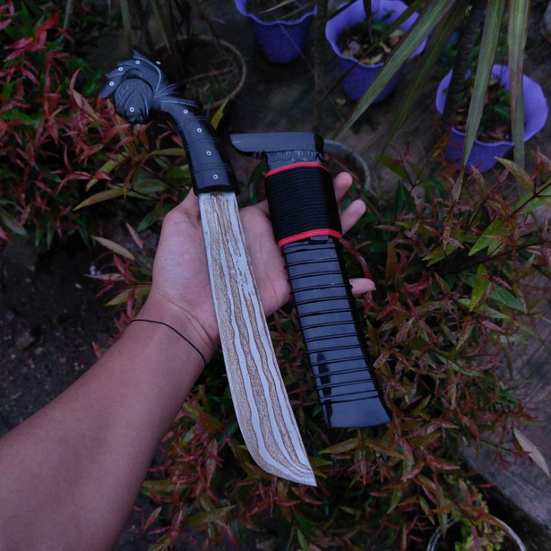 GOCIL SULANGKAR KHAS BANTEN