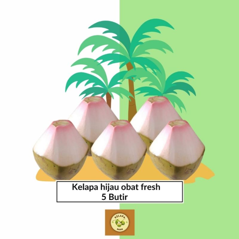 

kelapa hijau obat / kelapa ijo fresh (5 butir)