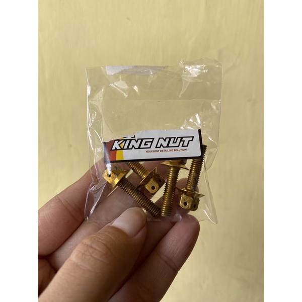 Baut visor all new aerox