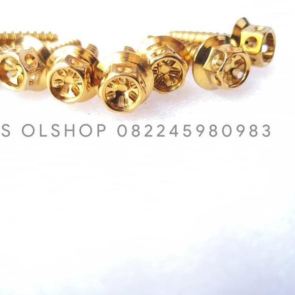 Baut Probolt Gold Untuk Baut Cover Filter Vario 125, 150 & PCX CBU