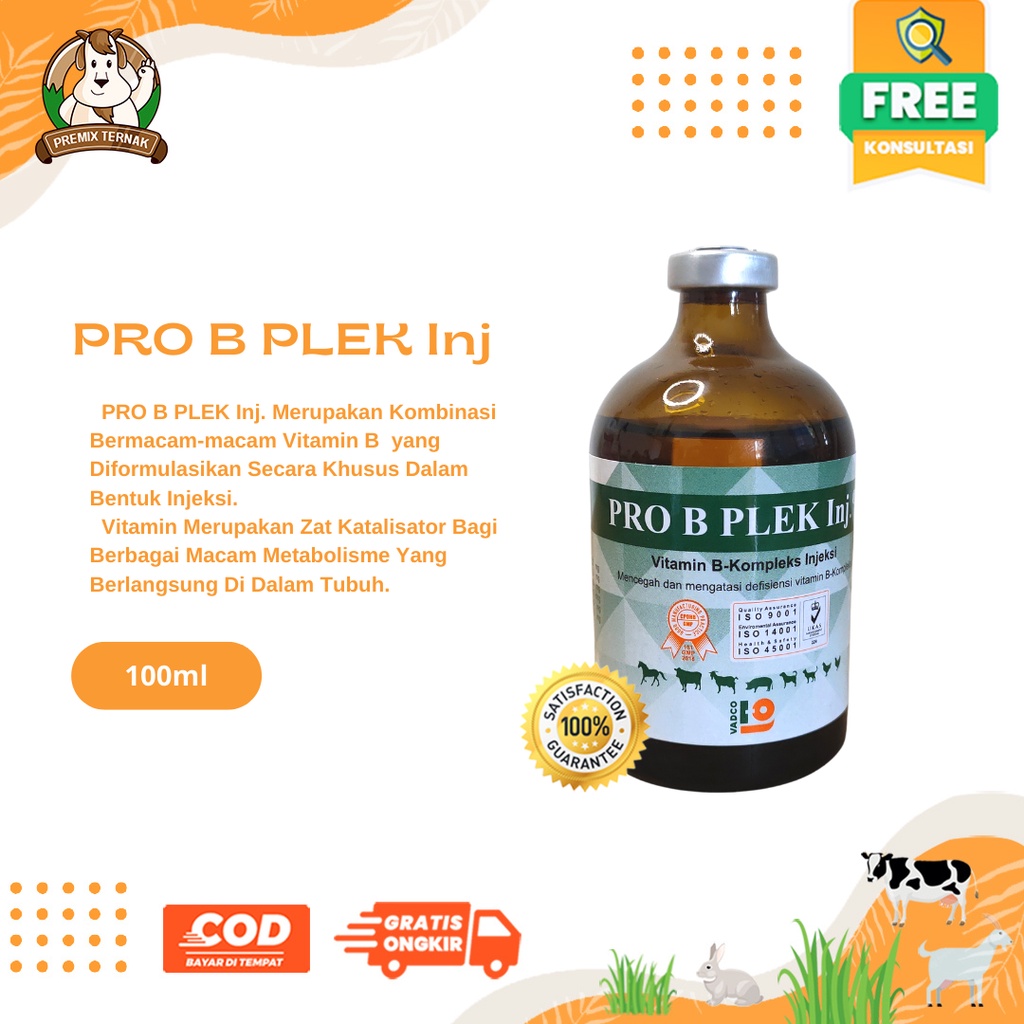 PRO B PLEK INJ 100 ml - Vitamin B komplek Hewan ternak mirip B SANPLEX SANBE