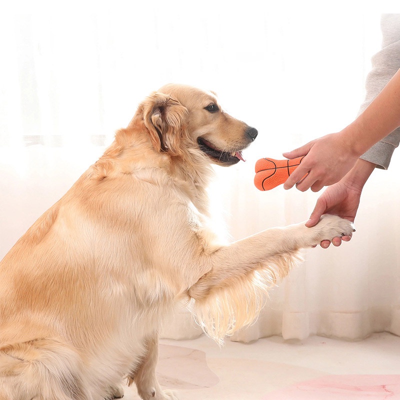 Mainan Gigit Hewan Anjing &amp; Kucing Pet Toy Latex Bones Import