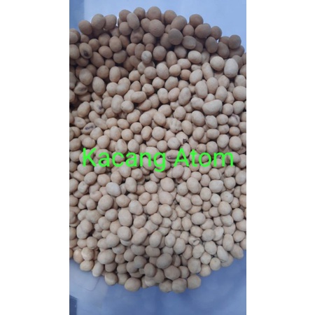 

Kacang Atom Garing 500gr