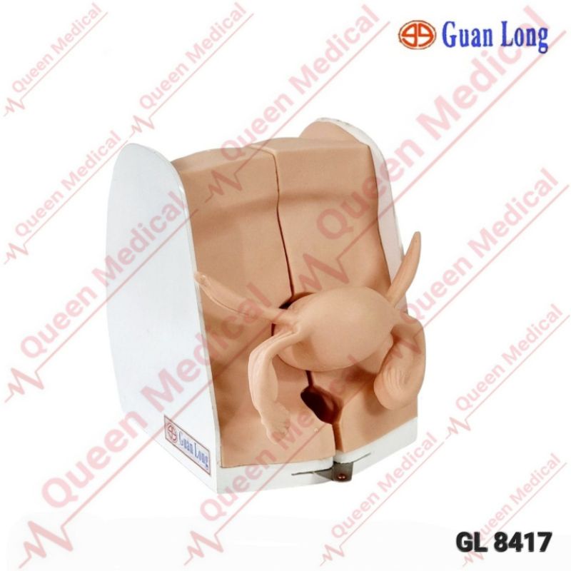 Alat Peraga/Manekin Model Pemasangan Alat Kontrasepsi/IUD 8417