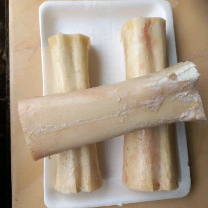 

Bone Marrow import | Tulang Sumsum Import 1kg