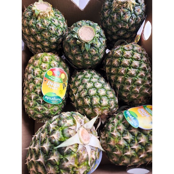 

Nanas madu sunpride