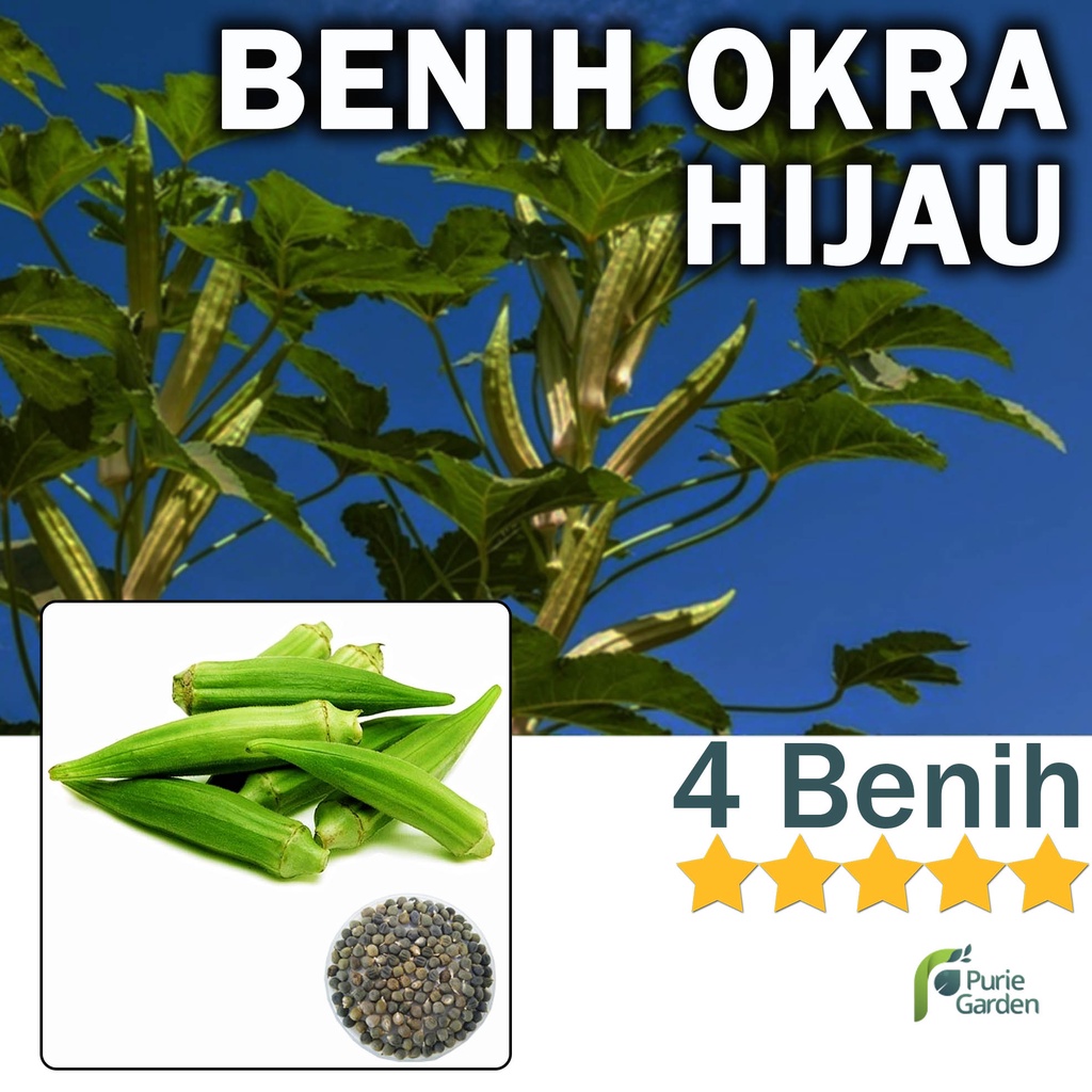 Benih Bibit Okra Hijau 4 Benih Dua Ribuan PG KDR