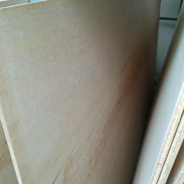 triplek untuk cor 8mm/9mm