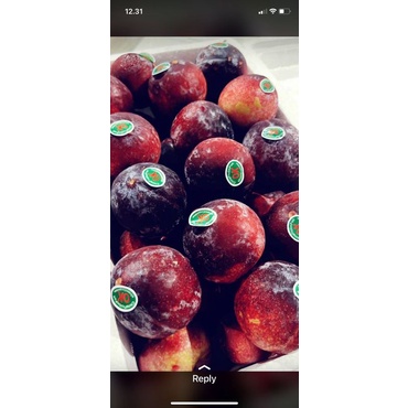 

PLUM MERAH / SEGAR / BERKUALITAS / FRESH
