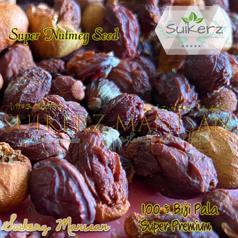 

biji pala super kering 100% asli Murni rempah obat herbal bumbu dapur masak tradisional original kualitas super