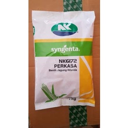 Benih Jagung Syngenta NK6172 Perkasa 1Kg