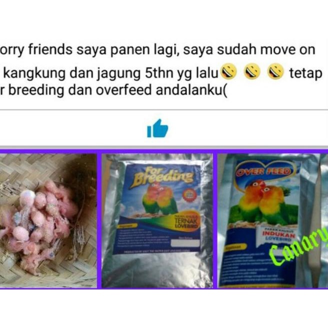 "for Breeding Lovebird" Pakan khusus ternak burung Lovebird