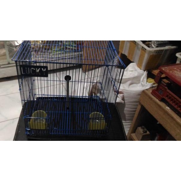 kandang kotak kecil lovebird