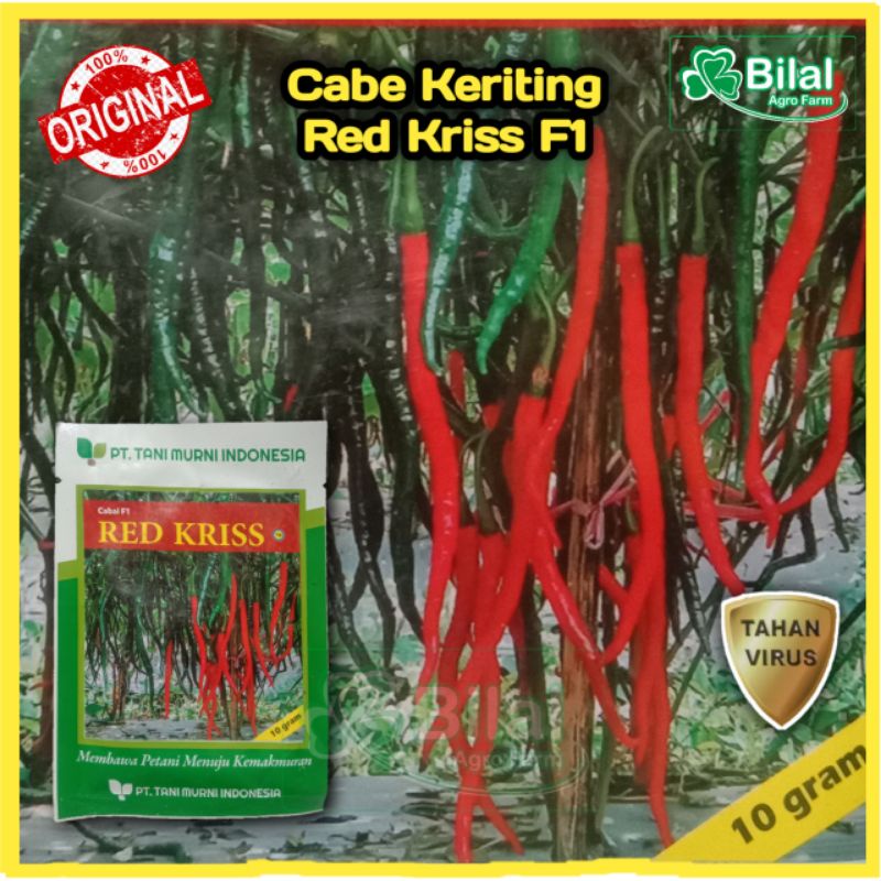 Benih Cabe Red Kriss F1 10 Gram Takii Seed | Bibit Cabai Keriting Hibrida TM Tani Murni