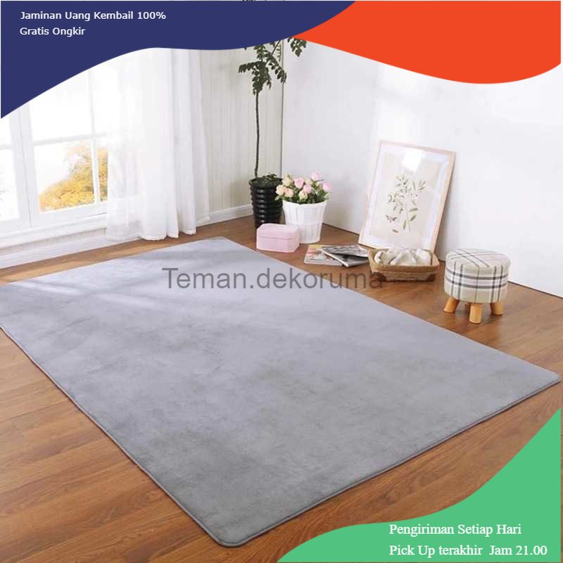 TD - PR Xinglong Karpet Matras Bulu Non-Slip Living Room Rug 160x200cm - Y48