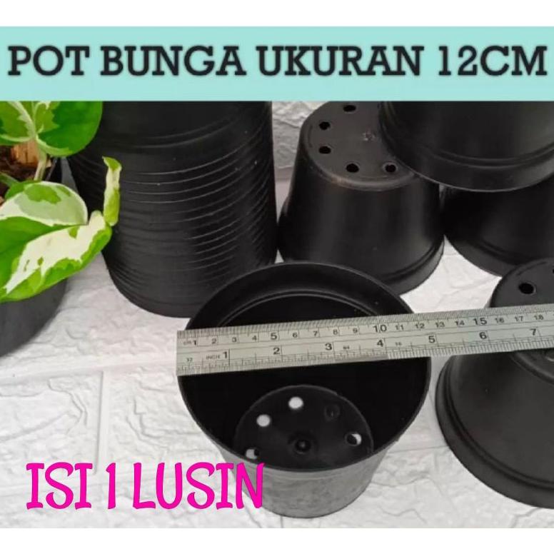 pot bunga paket hemat isi 1 lusin/ pot murah/ pot hitam/ pot plastik/ pot bunga