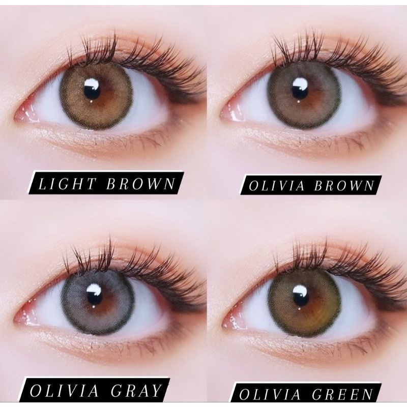 SOFTLENS MINI OLIVIA GREEN HIJAU KITTY KAWAII NORMAL MINUS s.d -10.00