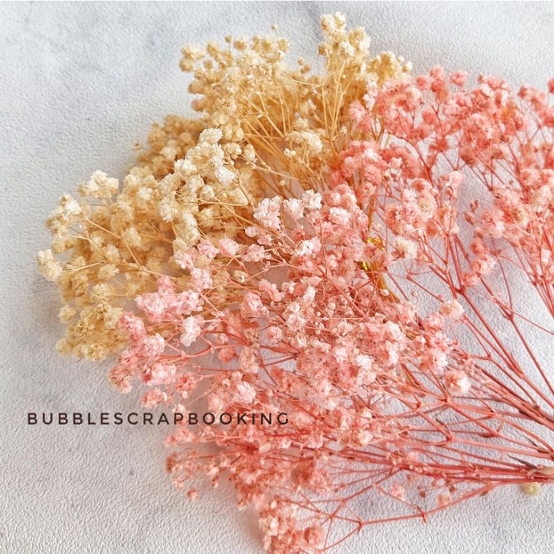 bunga kering bahan mahar rustic kode Baby Breath