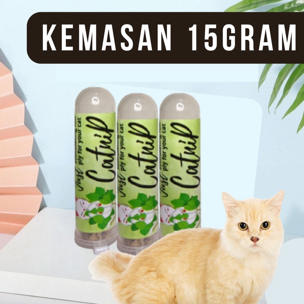 CATNIP BUBUK BOTOL Snack Kucing Makanan Serbuk Daun Cat Mint Powder FEZONE