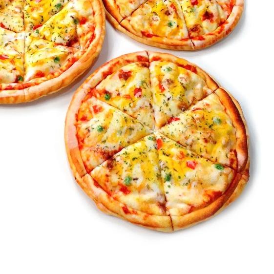 Boneka Pizza Loyang Untuk Prank atau Tukar Kado