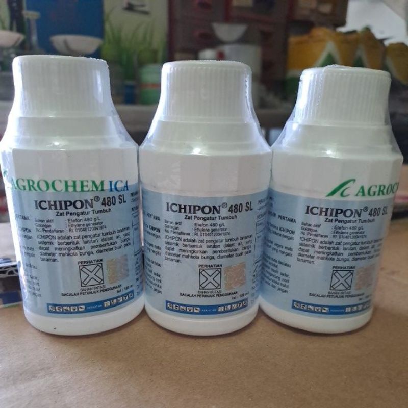 ICHIPON 480SL 100ml ZPT Perangsang & Pematang Buah | Pemasak Pisang Mangga Alpukat | Buah Matang Mer