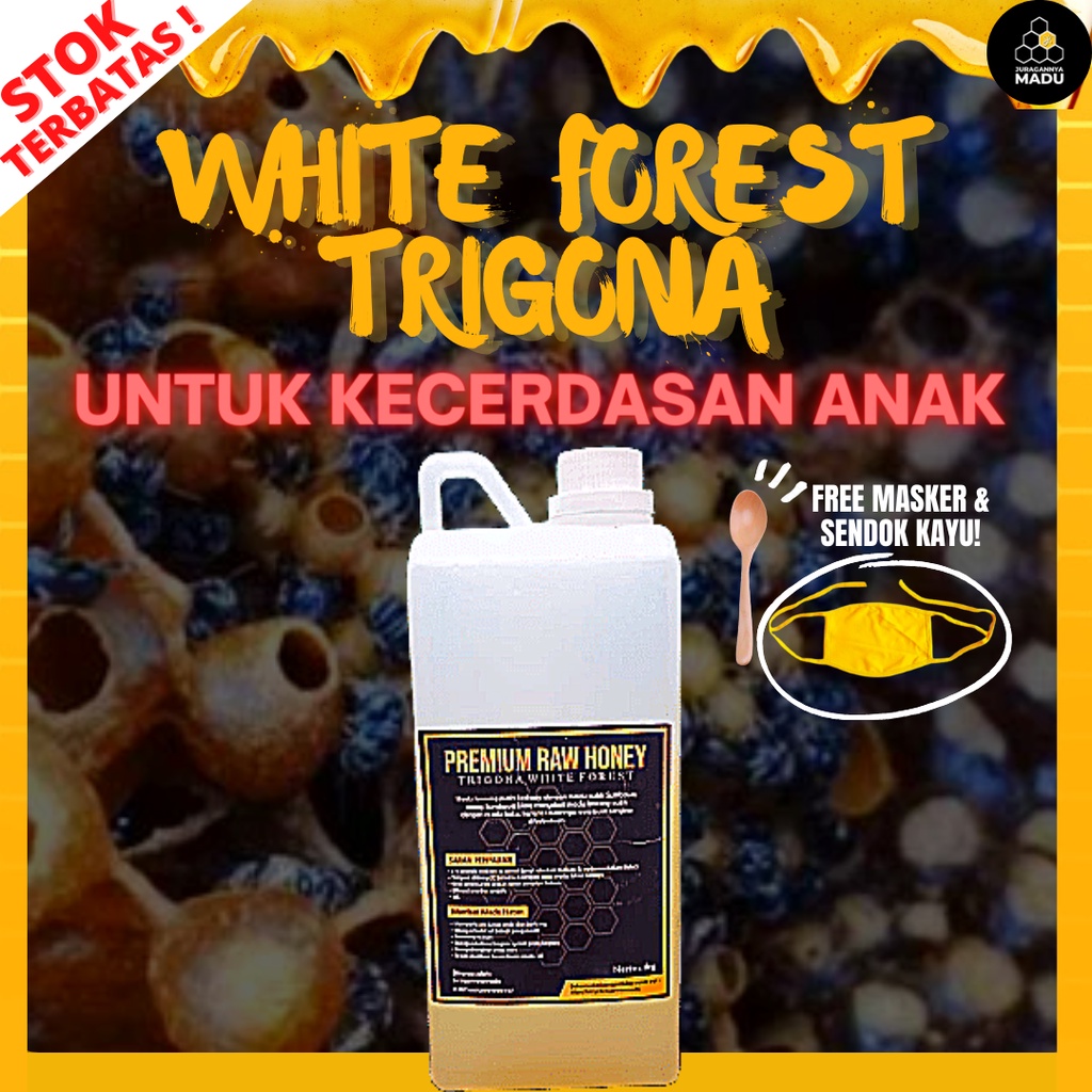 

MADU KLANCENG PUTIH (TRIGONA) NAIKAN KECERDASAN ANAK ANDA 1KG