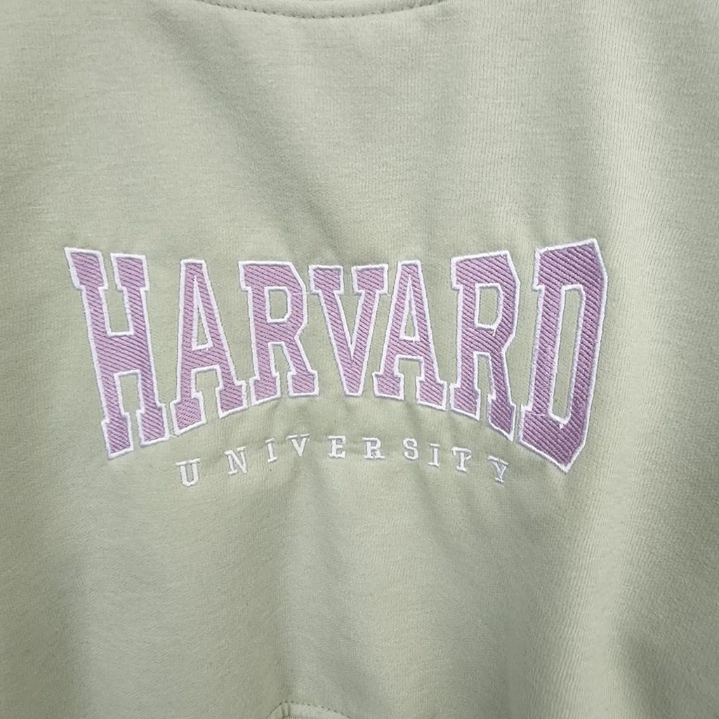 Sweater Croope Harvard Bordier Wanita Fleece Kpop Style