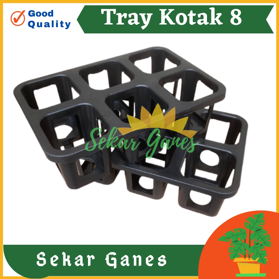 PROMO MURAH Tray Pot Kotak 8 cm Warna Hitam Tray Semai Bibit TRYPOT KOTAK 8 cm NKT 8 cm NKT JUOSS 8 Tray Semai 200 105 50 128 72 288 Lubang Padi Tutup Tebal-Tray pot nkt kotak 8cm (tanpa pot) | nkt kotak 8cm | tray semai bibit