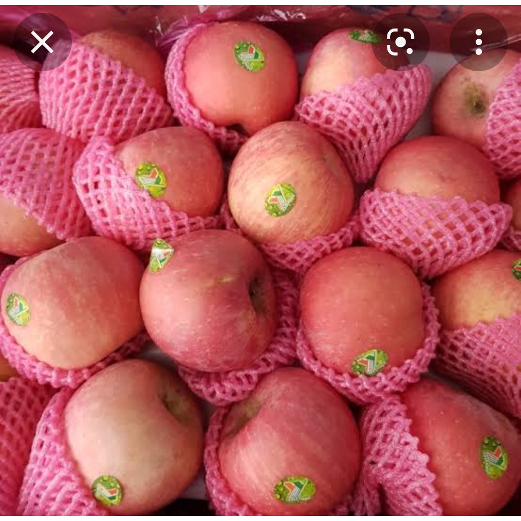 

BUAH APEL FUJI - buah segar surabaya 1 kg