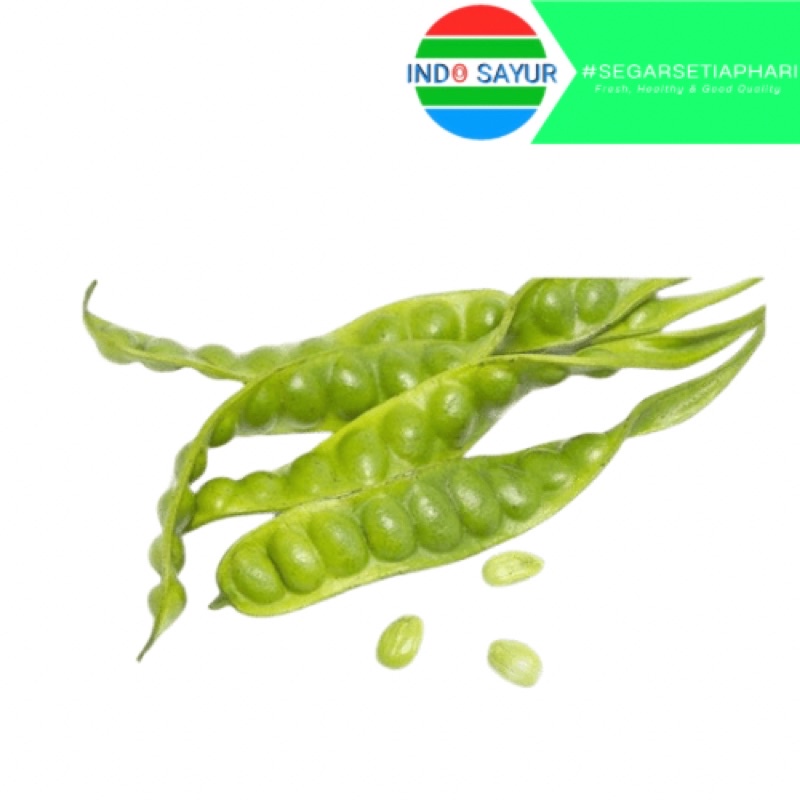 

Pete Hijau 1pcs